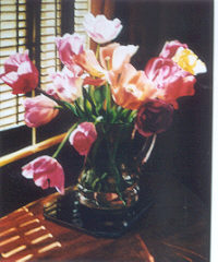 Click on image for larger version