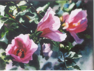 Click for larger image