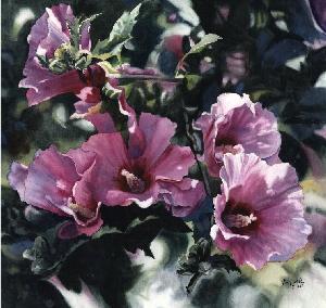 Click on image for larger version