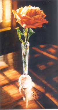 Click on image for larger version