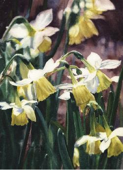 Click on image for larger version