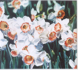 Click on image for large version