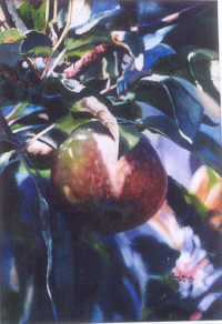 Click for larger image