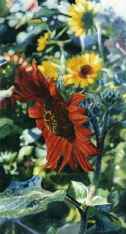 Click on image for larger version