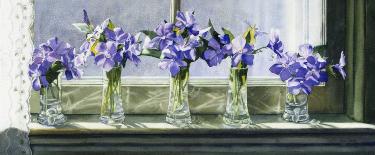 Click on image for larger version