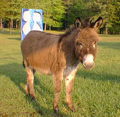 A Friendly Face (Your Tour Guide)