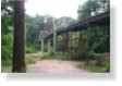 Bridge Photos