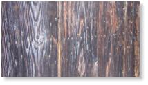 Kitchen Door Nail Pattern