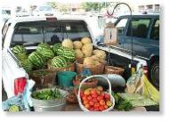 Farmers Market Downtown South Boston