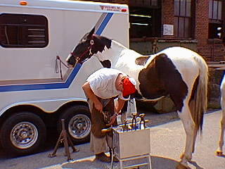 Jeff Henderson, the Farrier.
