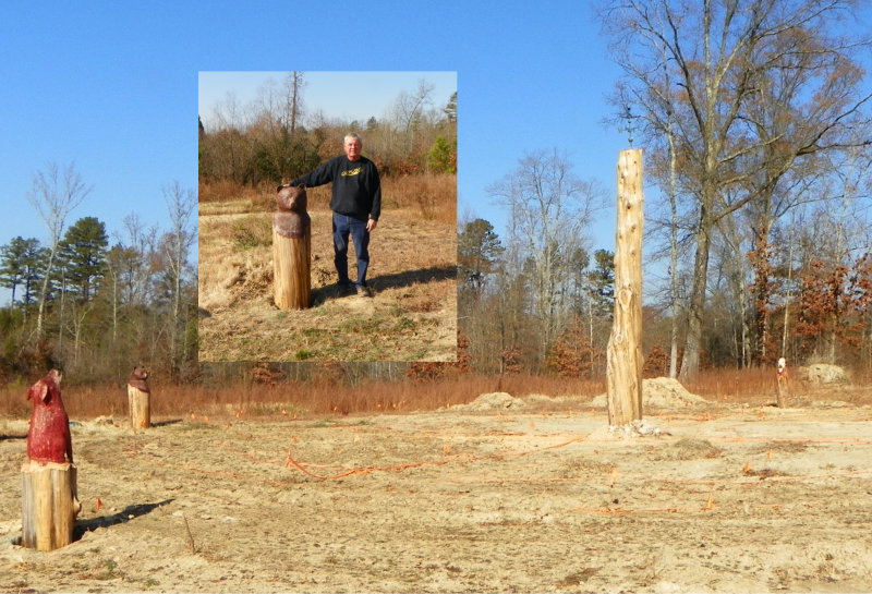 Coyote & Bear Placed